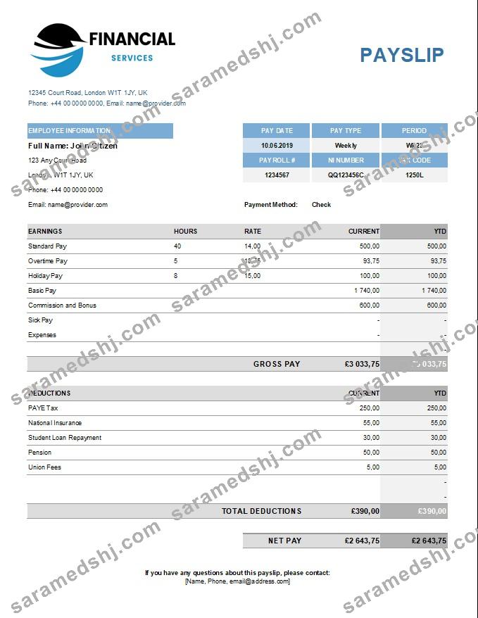 Financical services payslip template in Excel and PDF formats